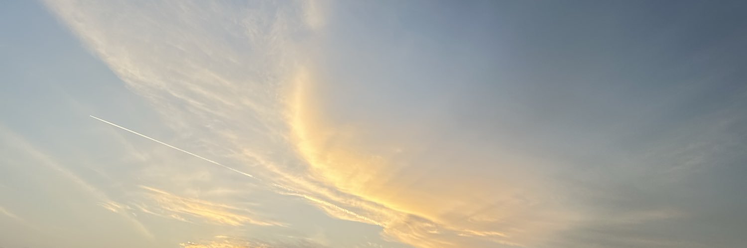 widihadian's profile banner image