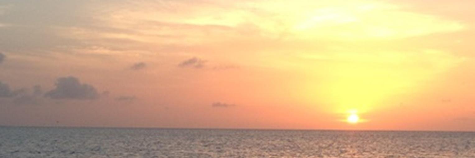 laurenlsmith38's profile banner image