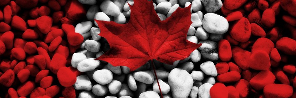 debradrennan's profile banner image