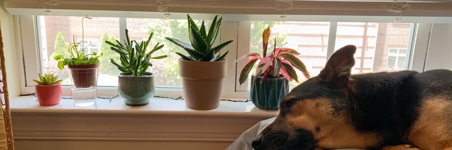 madcox10's profile banner image