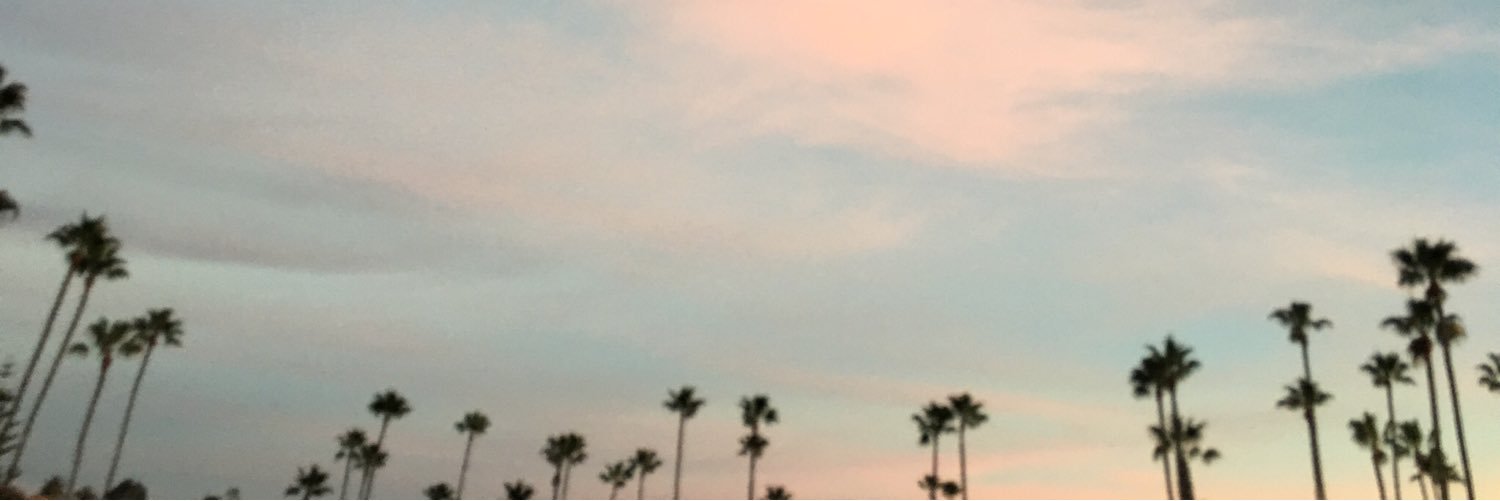 KileyFoss's profile banner image