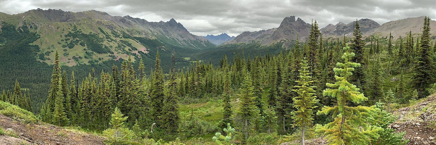 NorthWest Copper banner