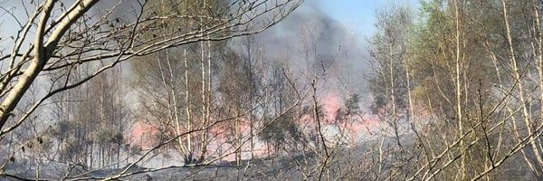 DGfire_safety Profile Banner