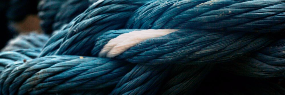 Bryte Insurance banner