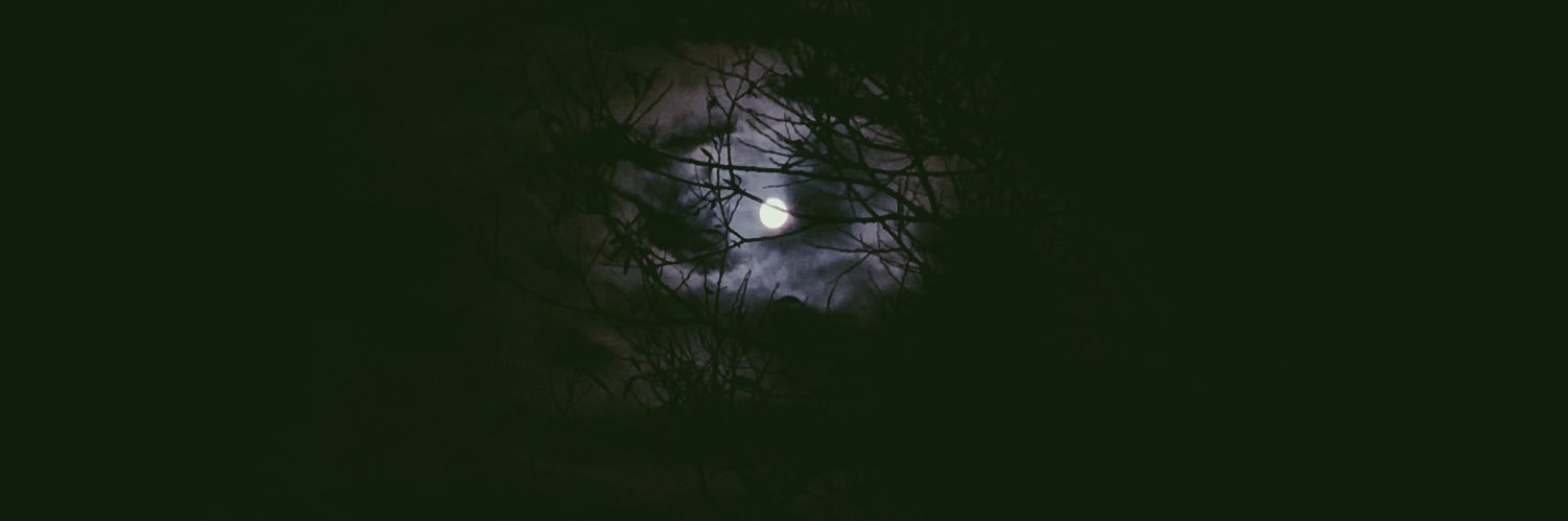 leslieaking's profile banner image