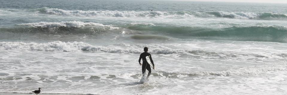 Cezar Carvalho banner