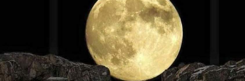 kodakinal's profile banner image