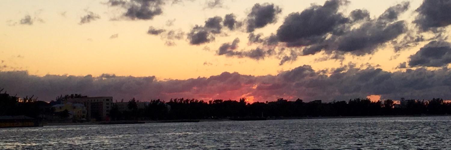 BunchBrooklyn's profile banner image