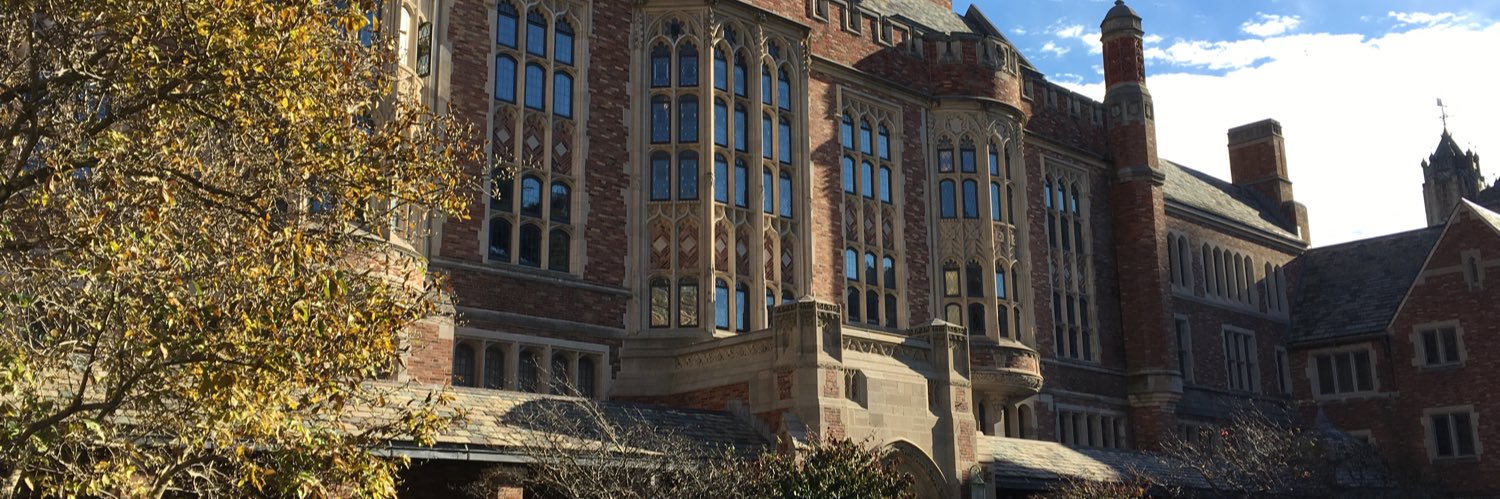 Désirée Klingler banner