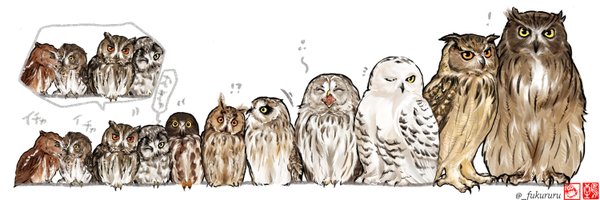 _fukururu Profile Banner