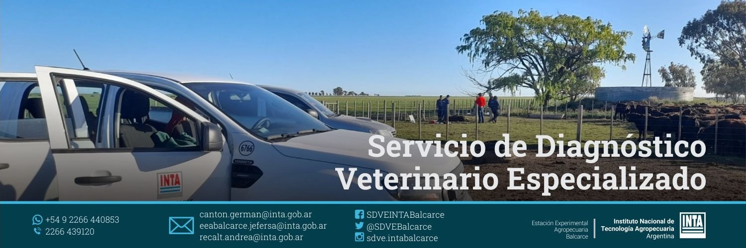 SDVE - INTA Balcarce banner