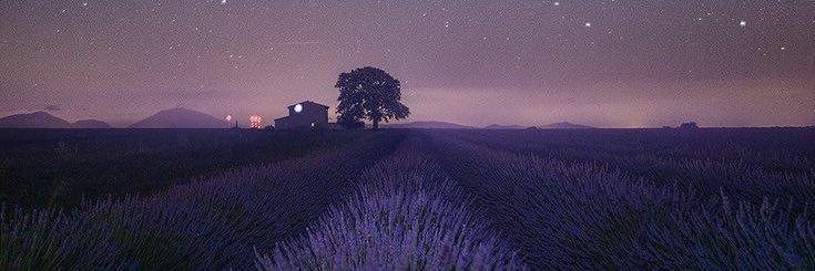 MinxMaro's profile banner image