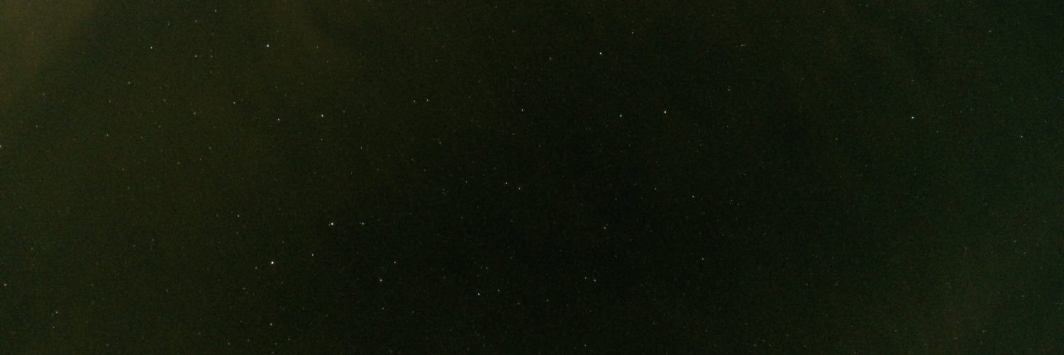 wolf_alexi's profile banner image