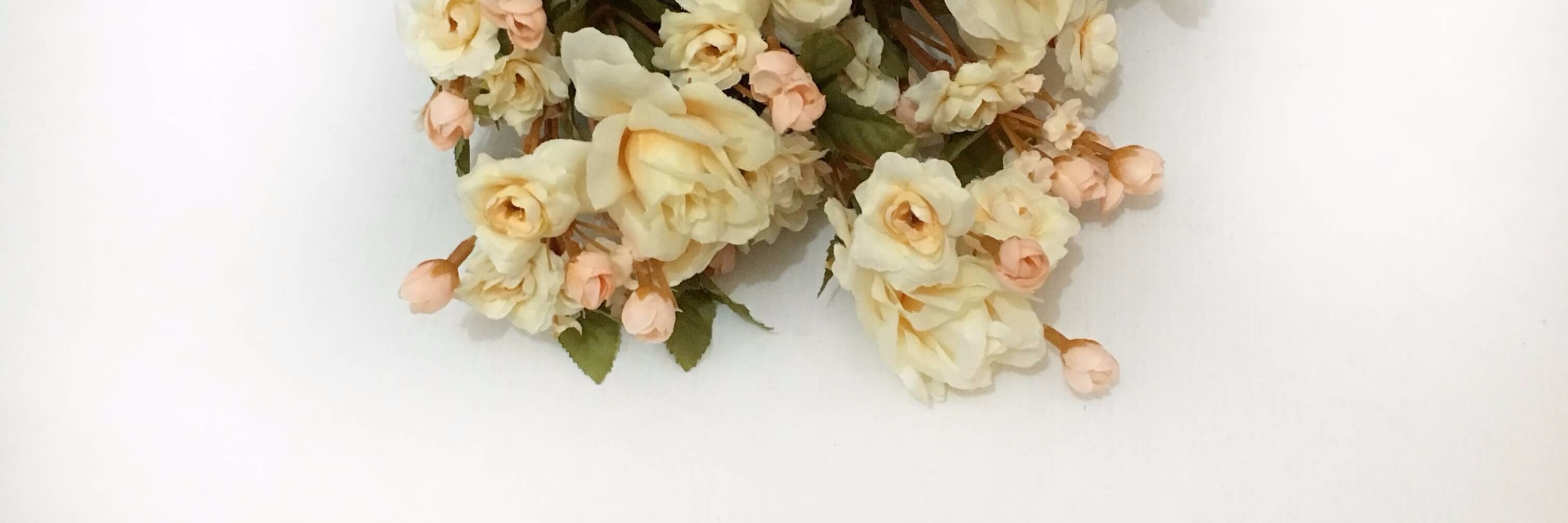 amaladws's profile banner image