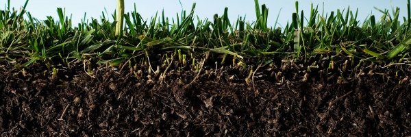 LoCam_Agro's profile banner image