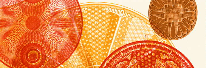 Lost in Science banner