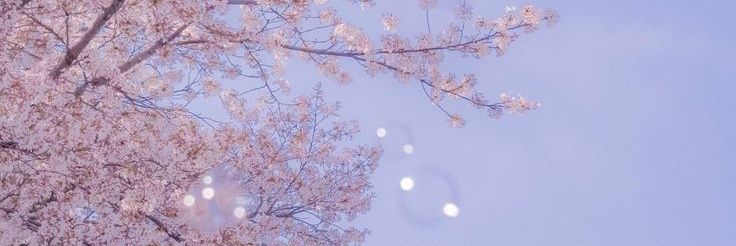 TrejosArroyo's profile banner image