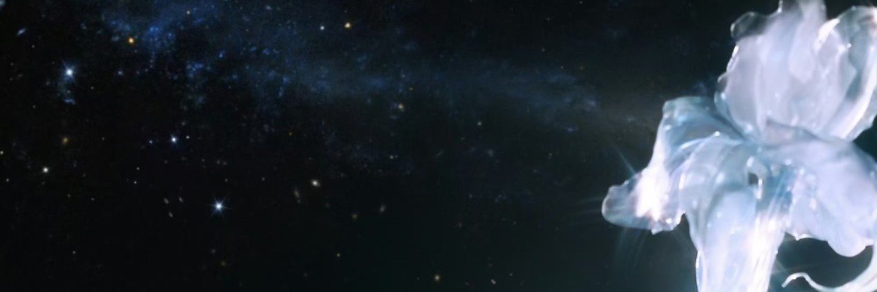 shaqngen's profile banner image
