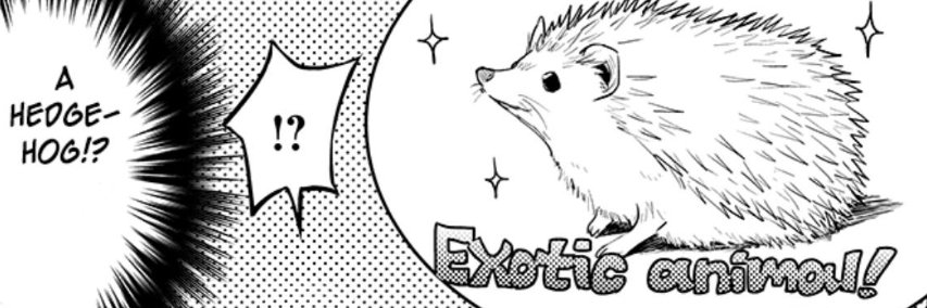 SilverEzhik's profile banner image