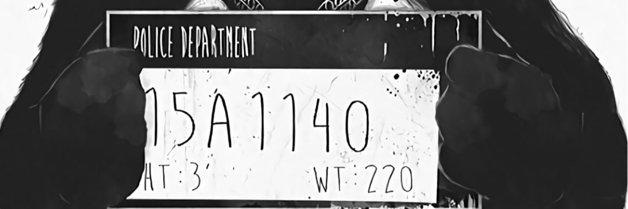 Simon banner