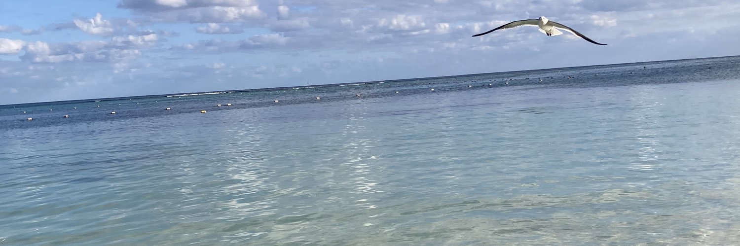 sayico_92's profile banner image
