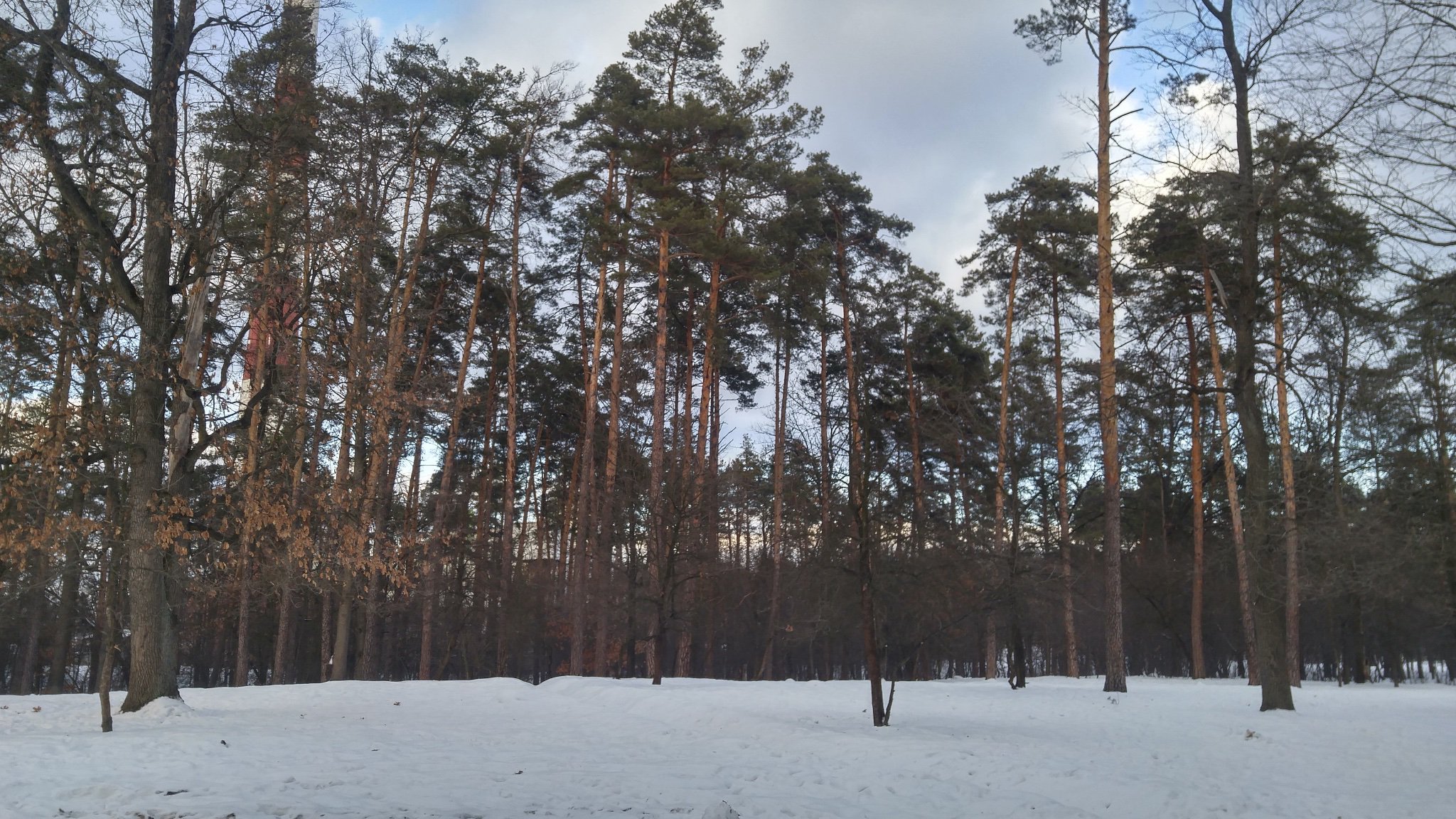 Aleksey banner