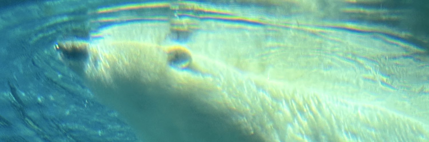 bwilliamsBH's profile banner image