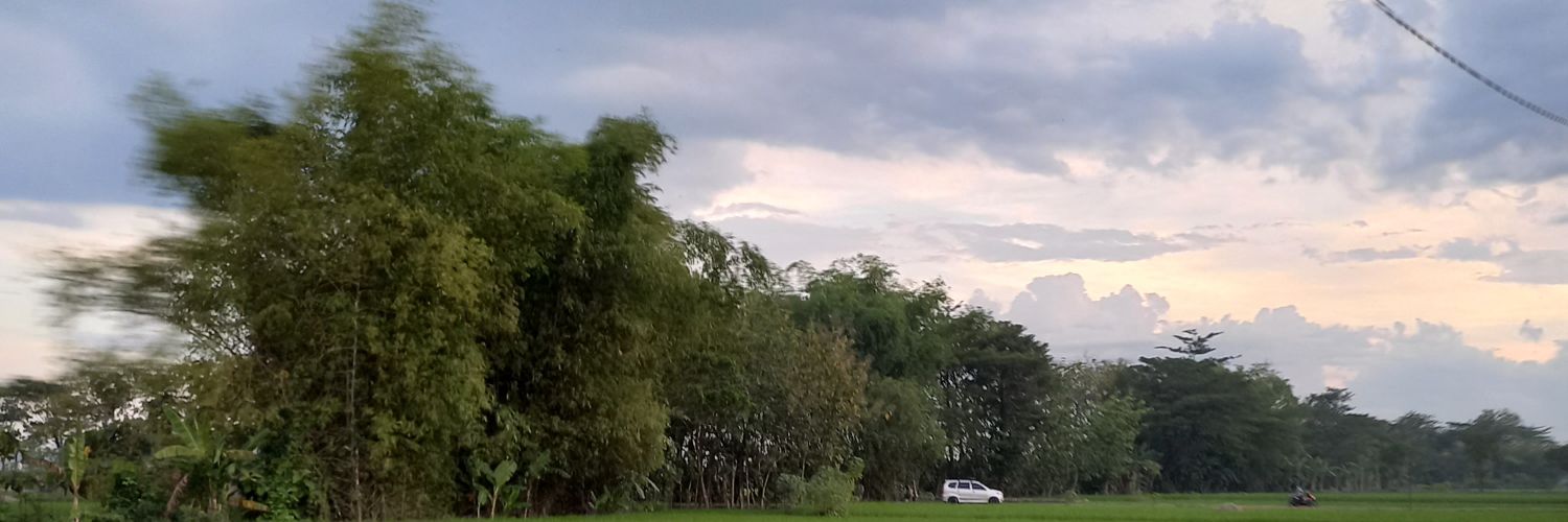zaazzalia_'s profile banner image