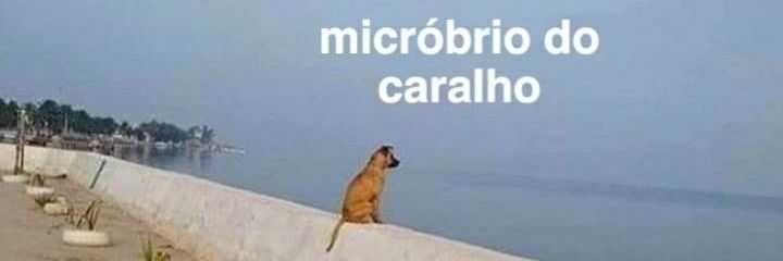 AimeeCaroline's profile banner image