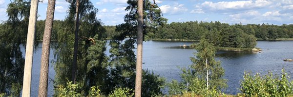 Lygaard Profile Banner