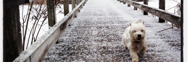 Fredvs79 Profile Banner