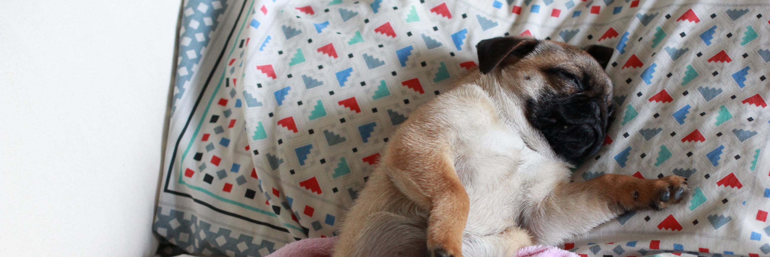 #natblogs by nat. banner