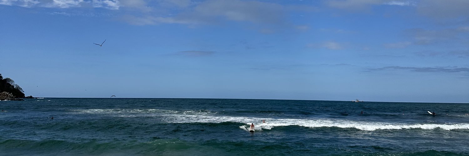 Fernanda banner