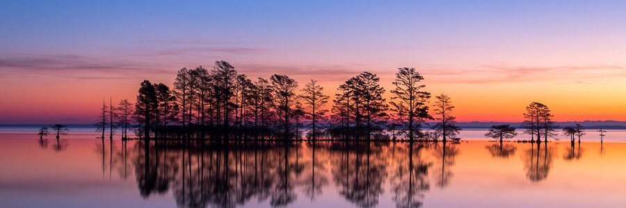 davidmcgowan3's profile banner image