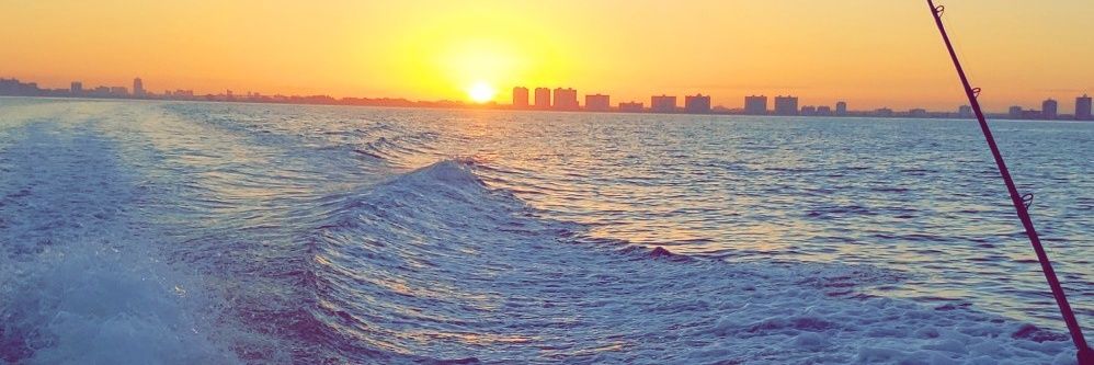 Zach_Roling's profile banner image