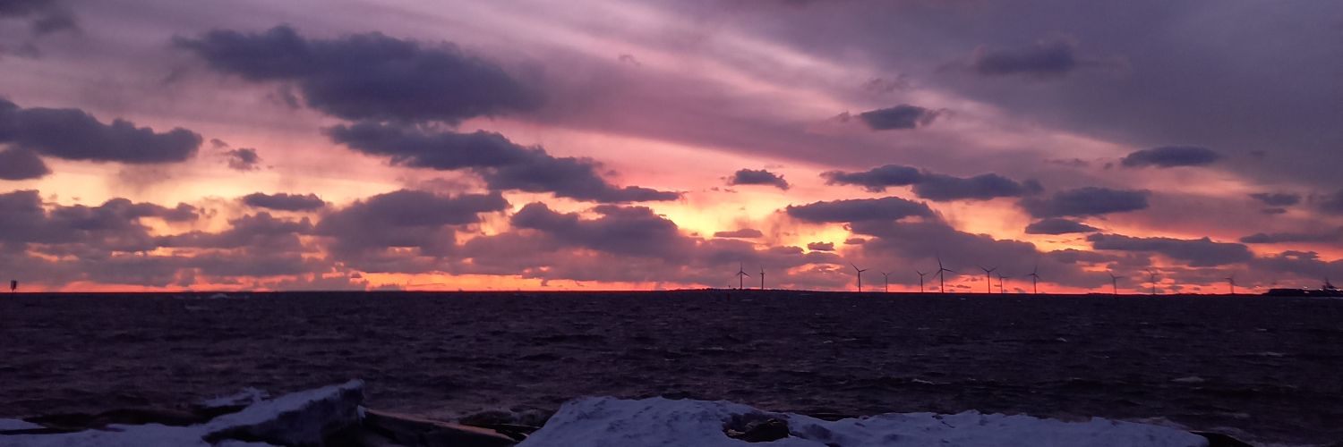 tess_ampe's profile banner image