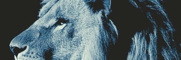 Chanthony40 Profile Banner