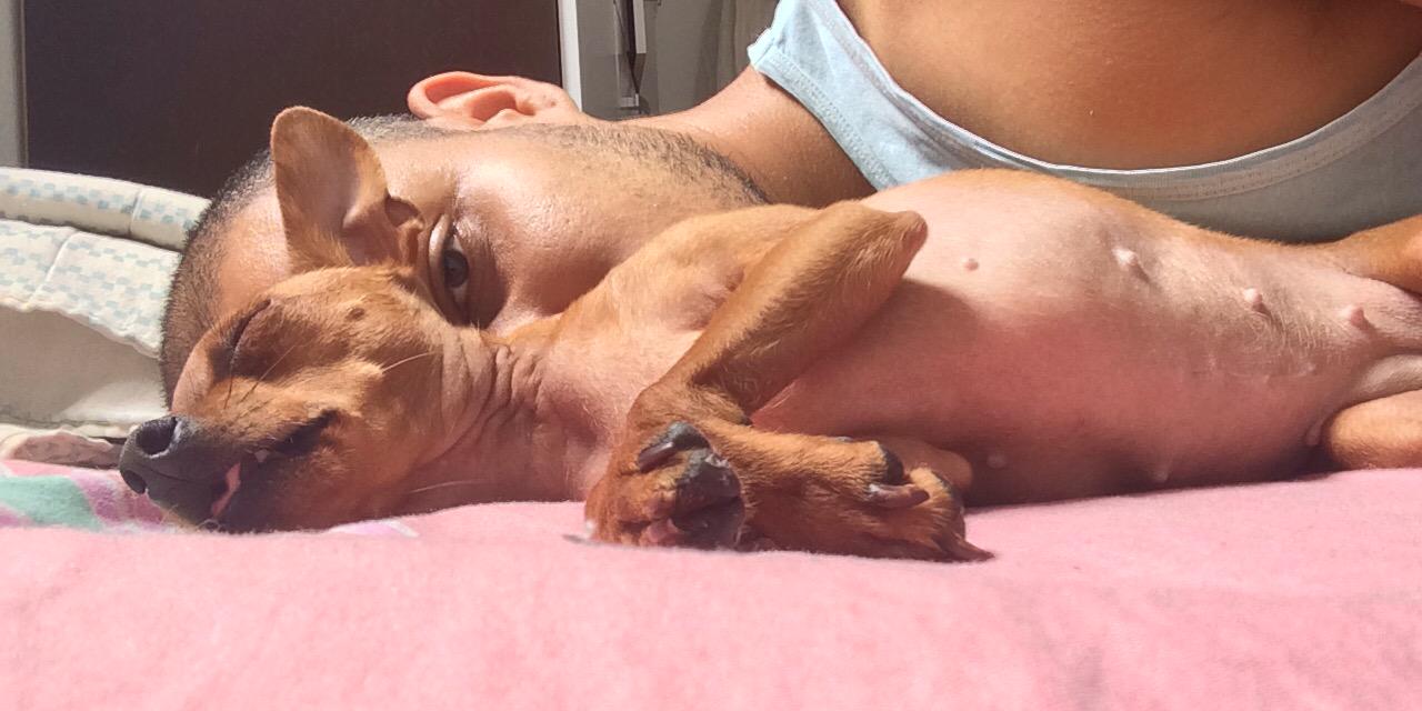 candidosandro's profile banner image