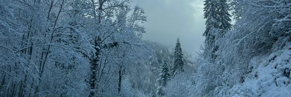 franck Profile Banner