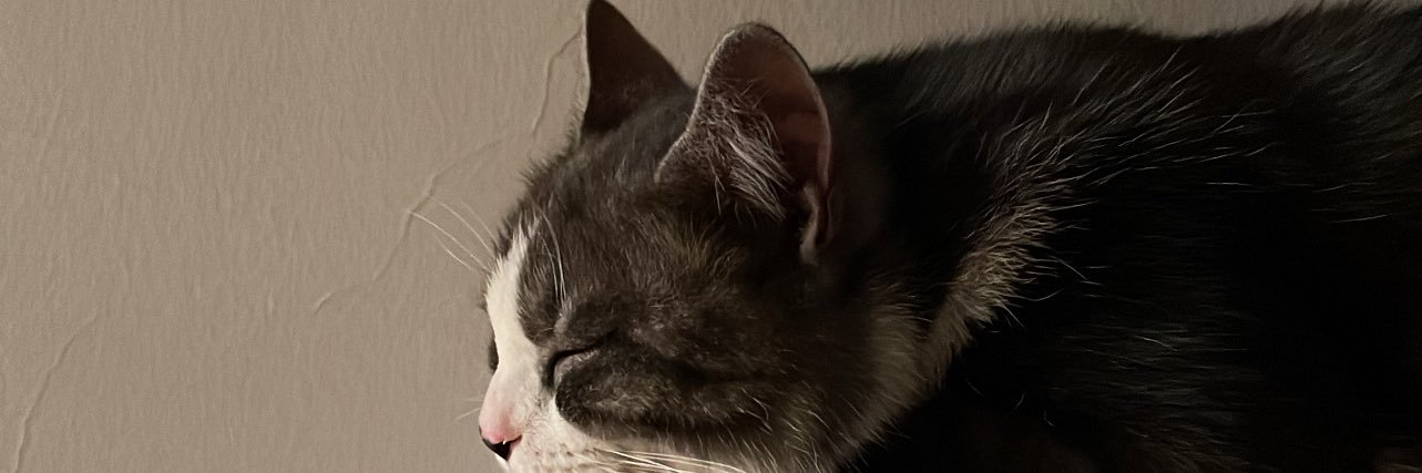 urmaha0's profile banner image