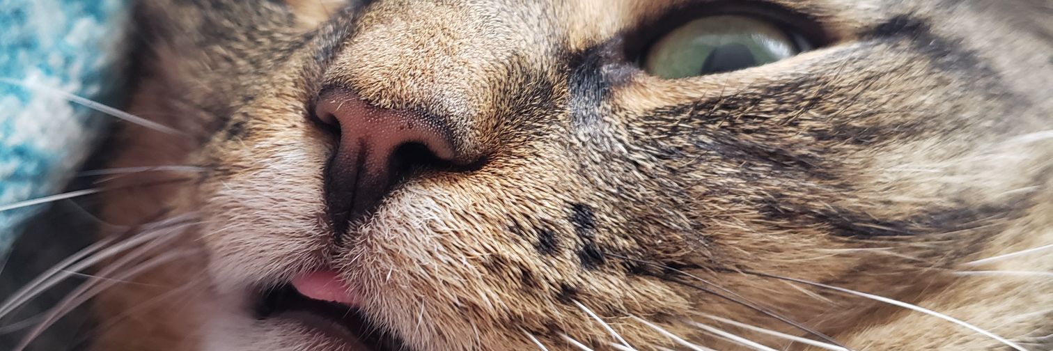 vrlorenz2317's profile banner image