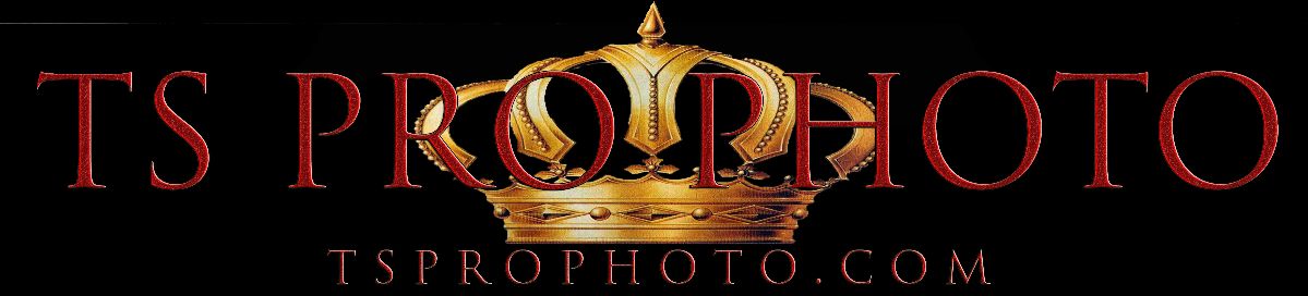 tsprophoto's profile banner image