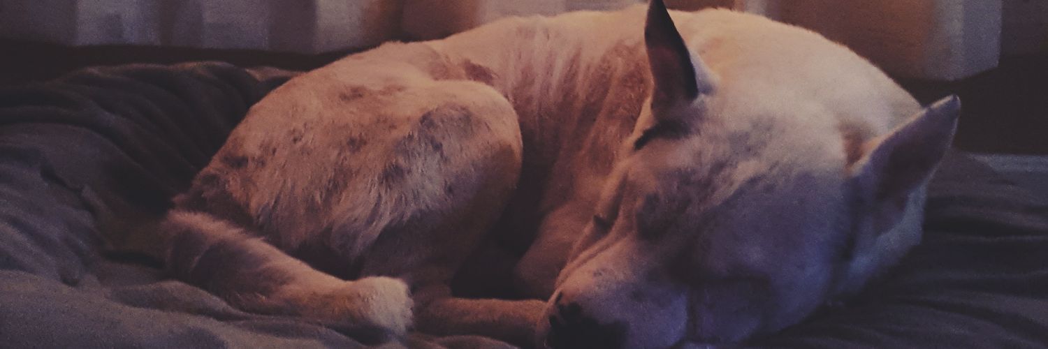 smilehaley23's profile banner image