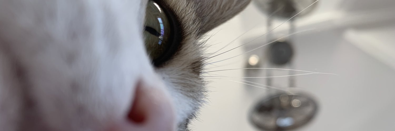 dantnad's profile banner image
