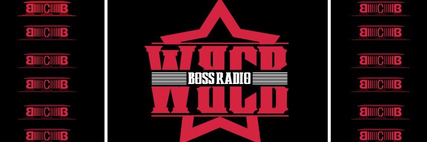BCB HITS ©®™ banner