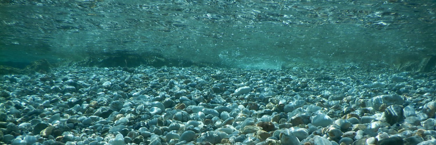 Elizabeth Dore banner