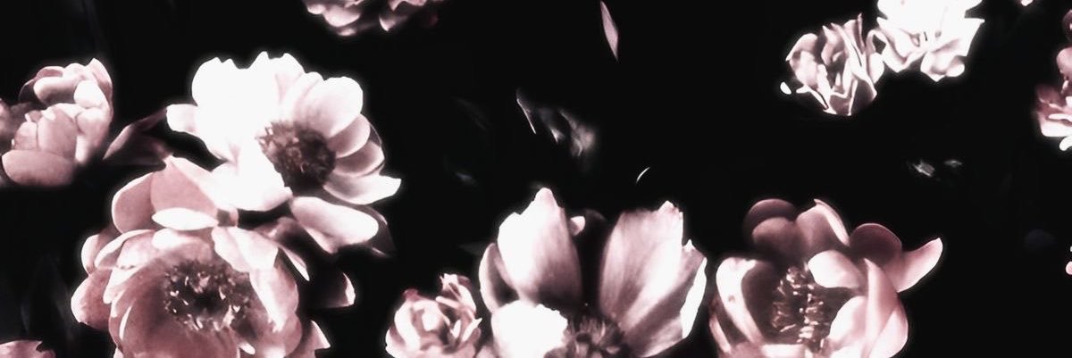 11_miy_'s profile banner image