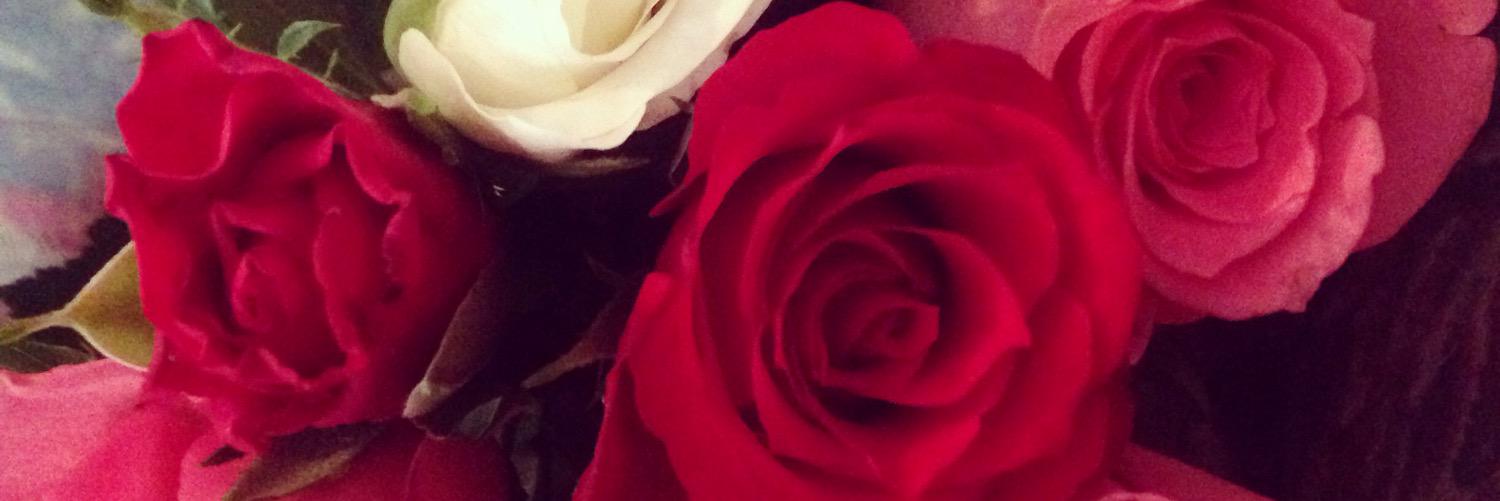 HannahRTaylor21's profile banner image