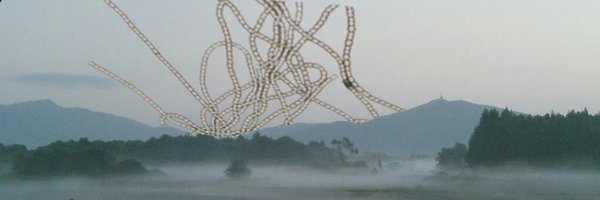 kujira6803 Profile Banner