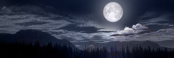 jiyivan123's profile banner image